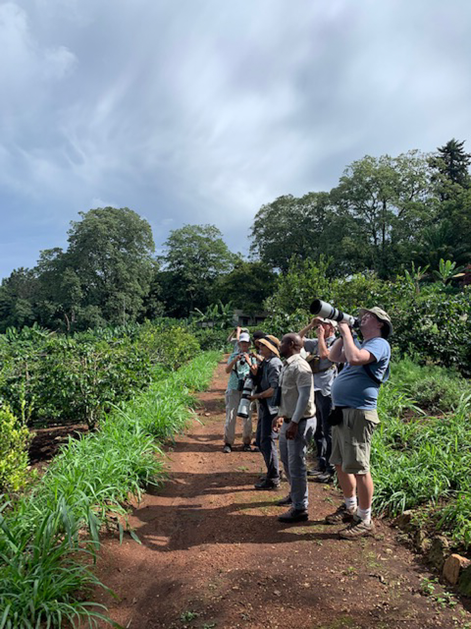 Birding in Tanzania