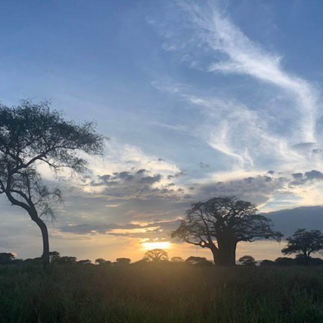 Tanzania sunset