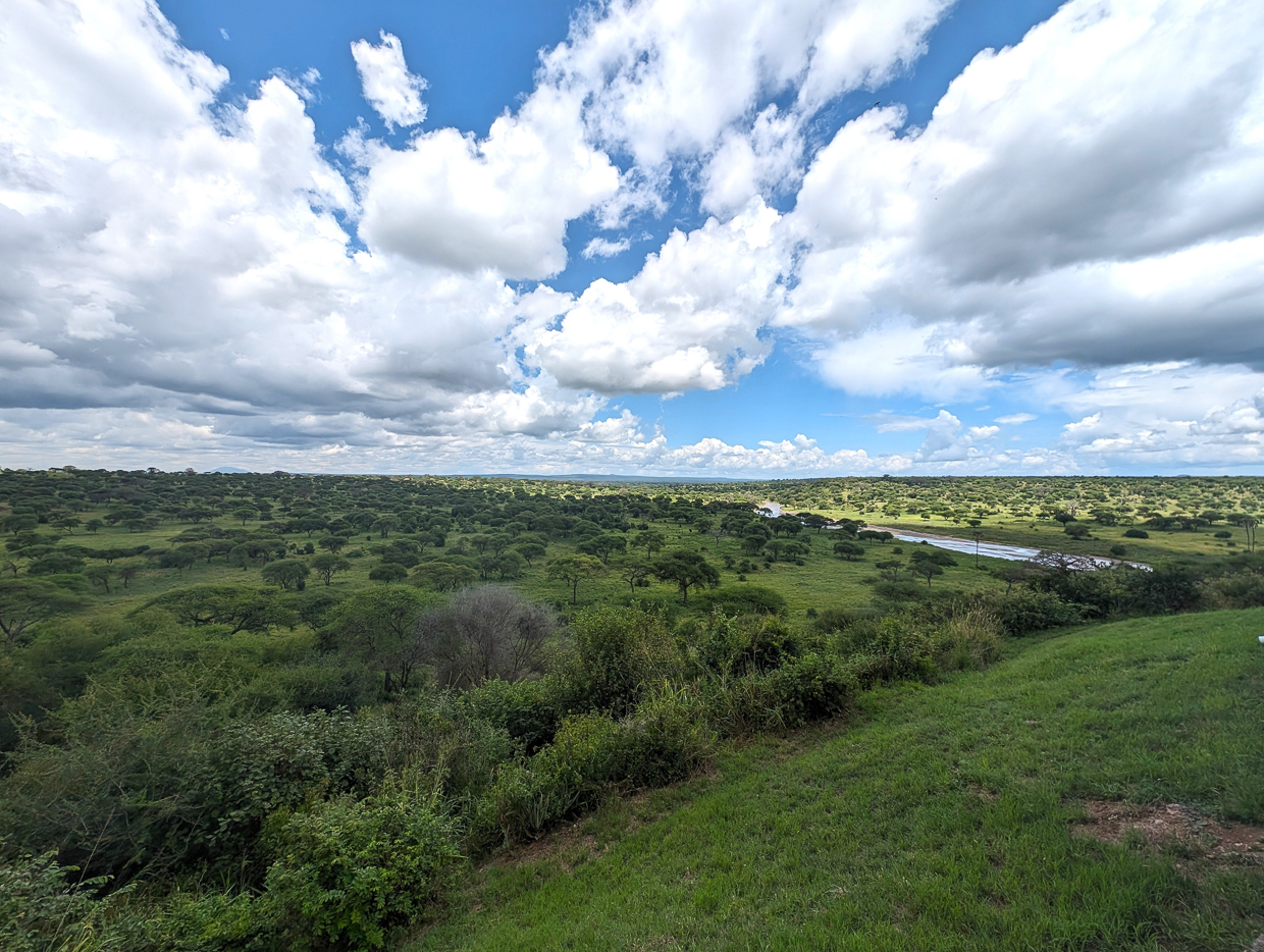 View from Tarangire Safari Lodge