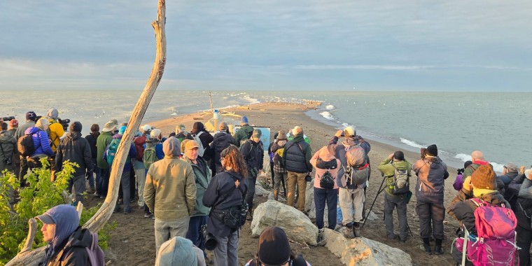 Point Pelee & Algonquin Park Trip Report (May 7 - 18, 2024)