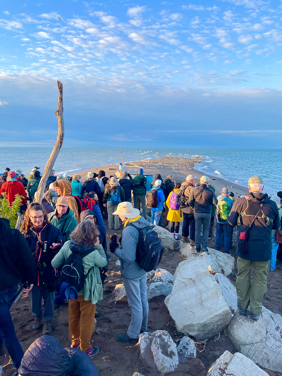 Tip of Point Pelee