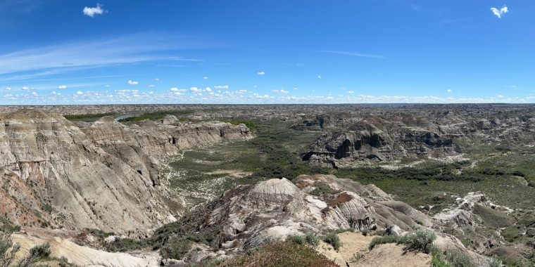 Alberta Birds & Dinosaurs Trip Report (May 25 - 29, 2024)