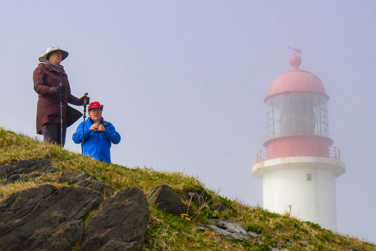 Birders at Cape Race Lighthouse