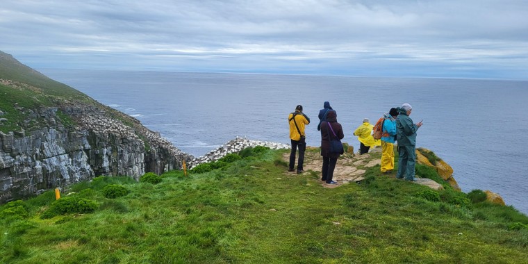Newfoundland Birding Tour with Canadian Geographic Trip Report (June 2024)