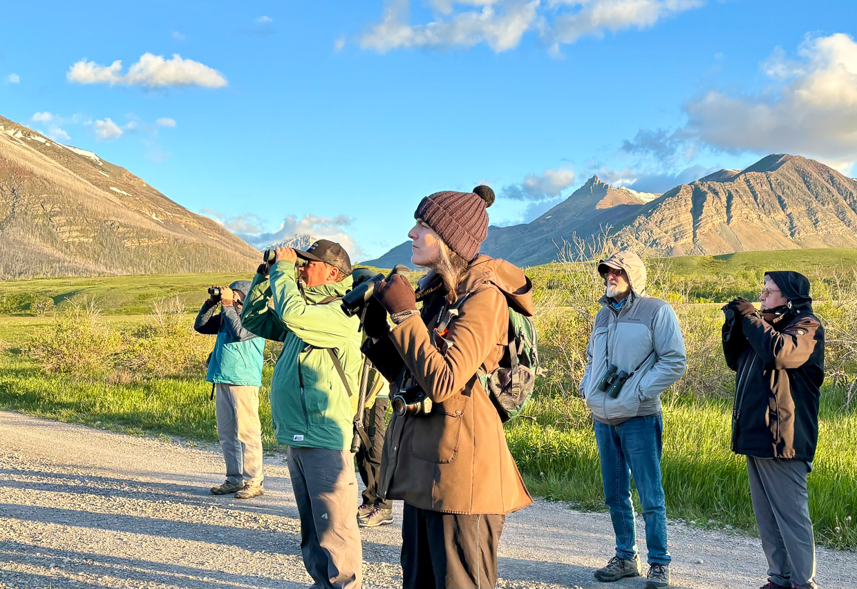 Birding in Waterton Lakes National Park