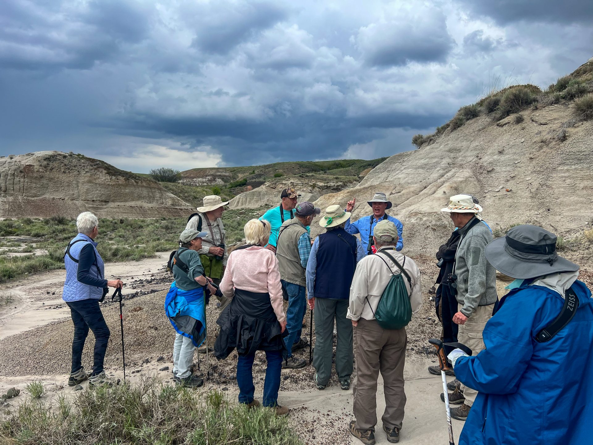 Looking at dinosaur bones and fossils