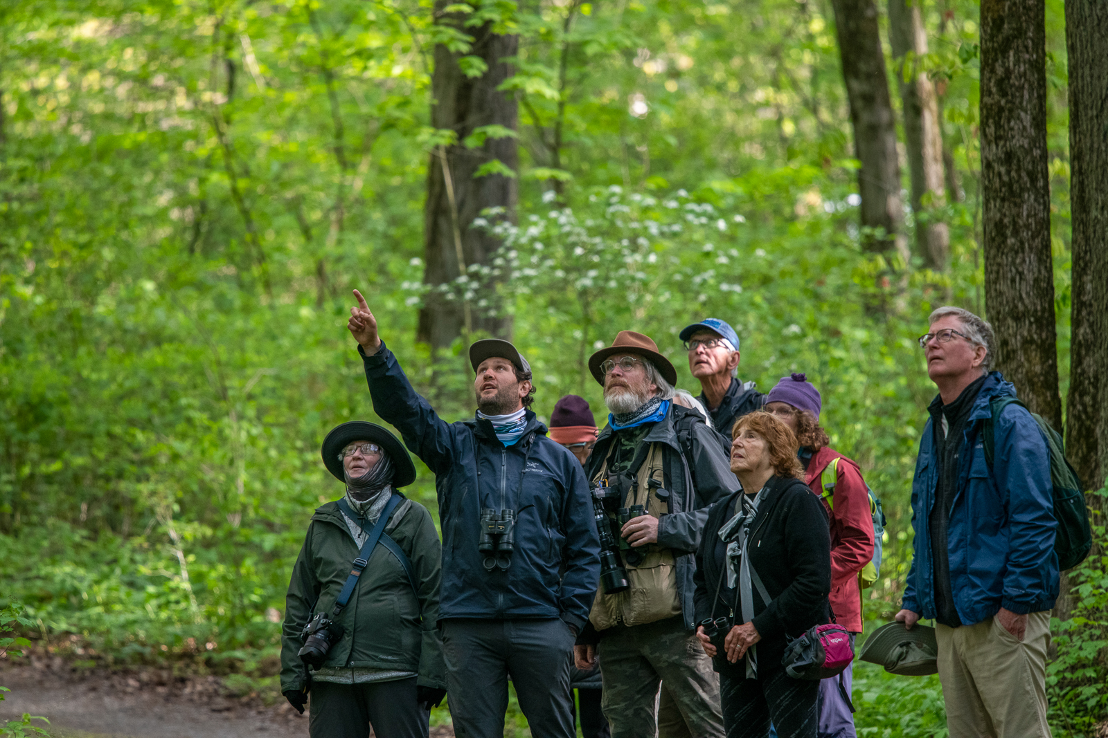 Birding group in Ontario