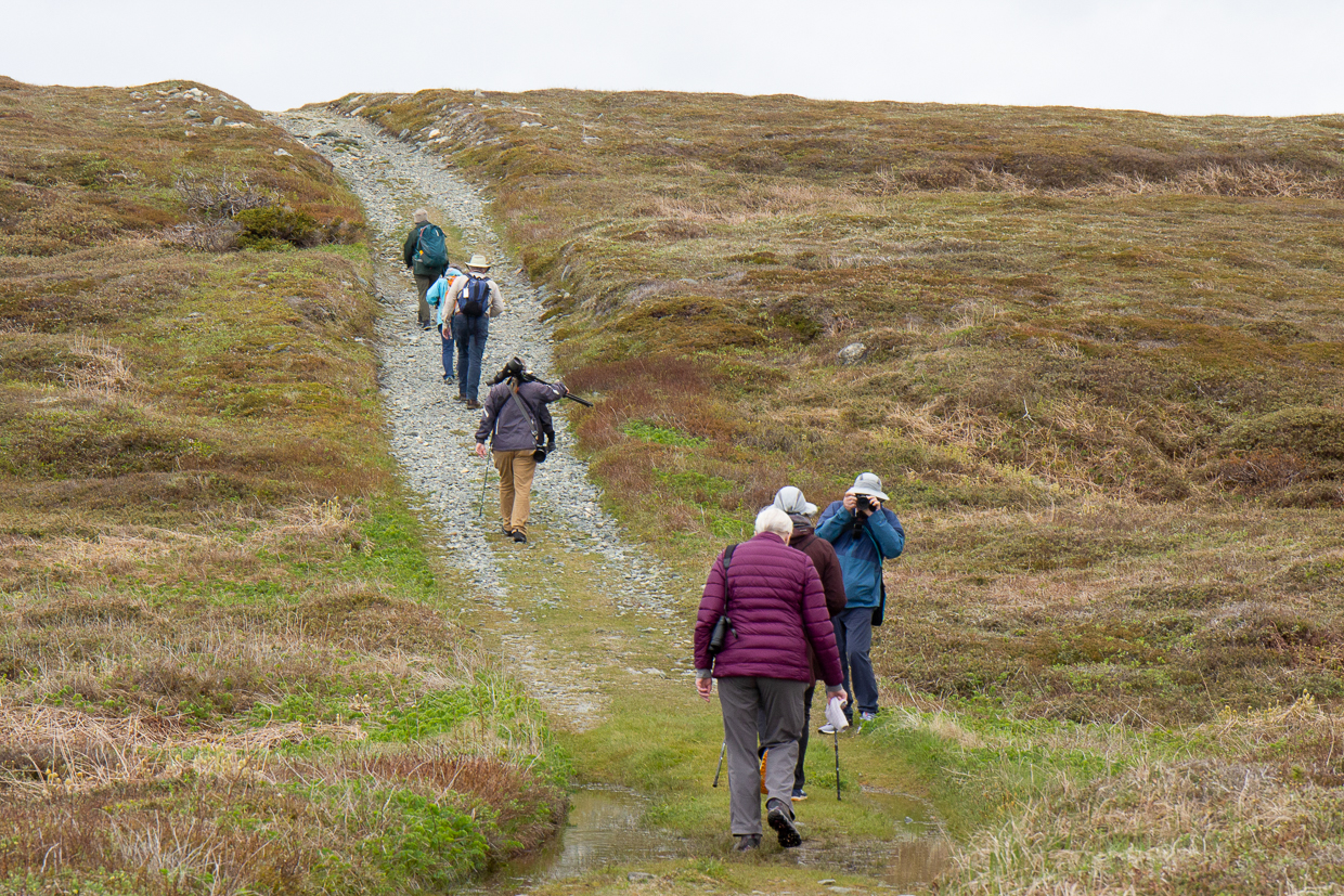 Mistaken Point, Edge of Avalon