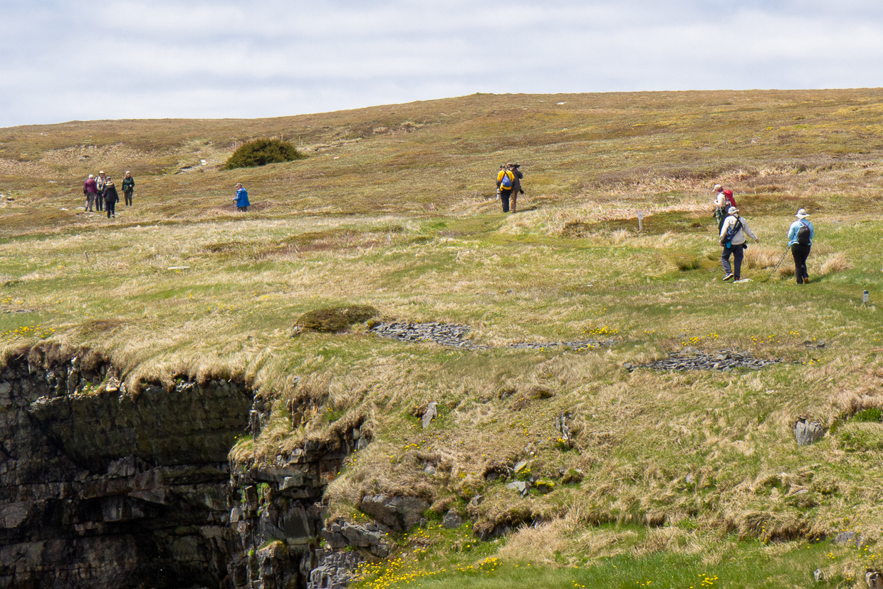 Birders at Mistaken Point Ecological Reserve