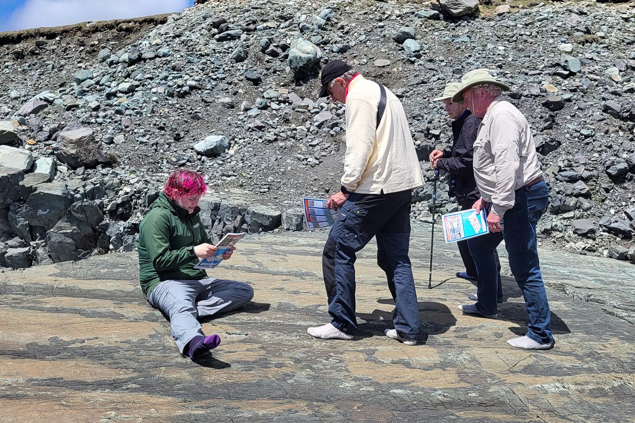 Mistaken Point, looking for fossils