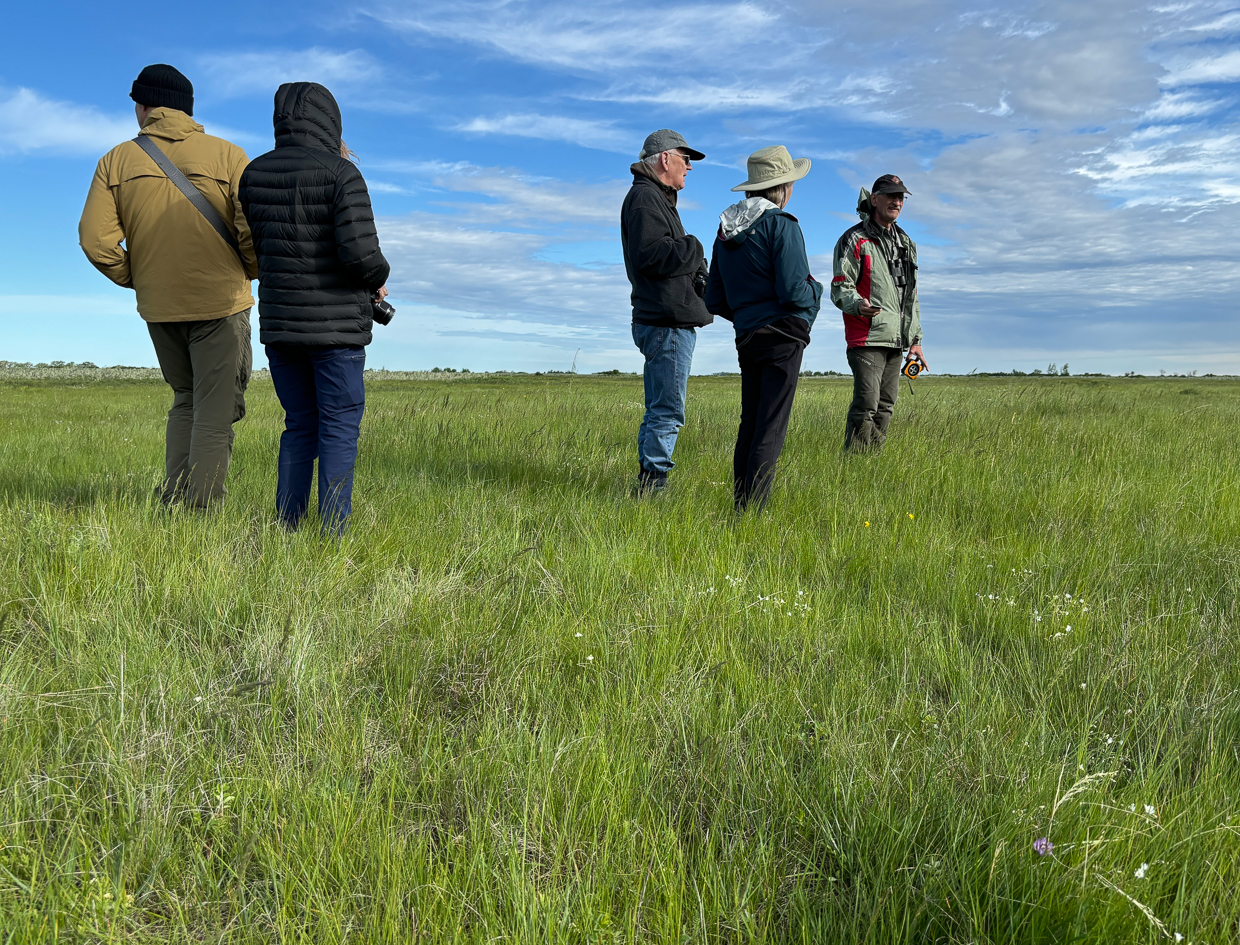Birding on the prairies in Manitoba