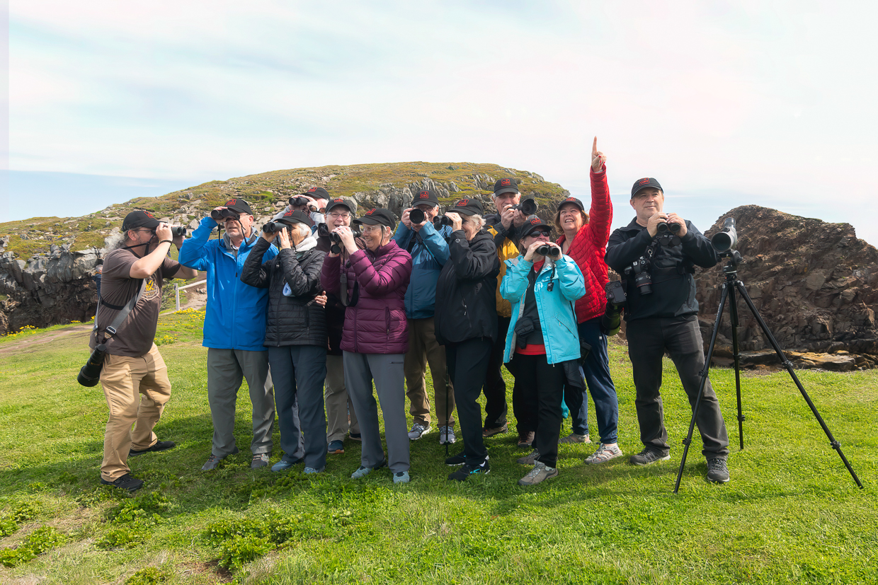 Birding Group in Newfoundland