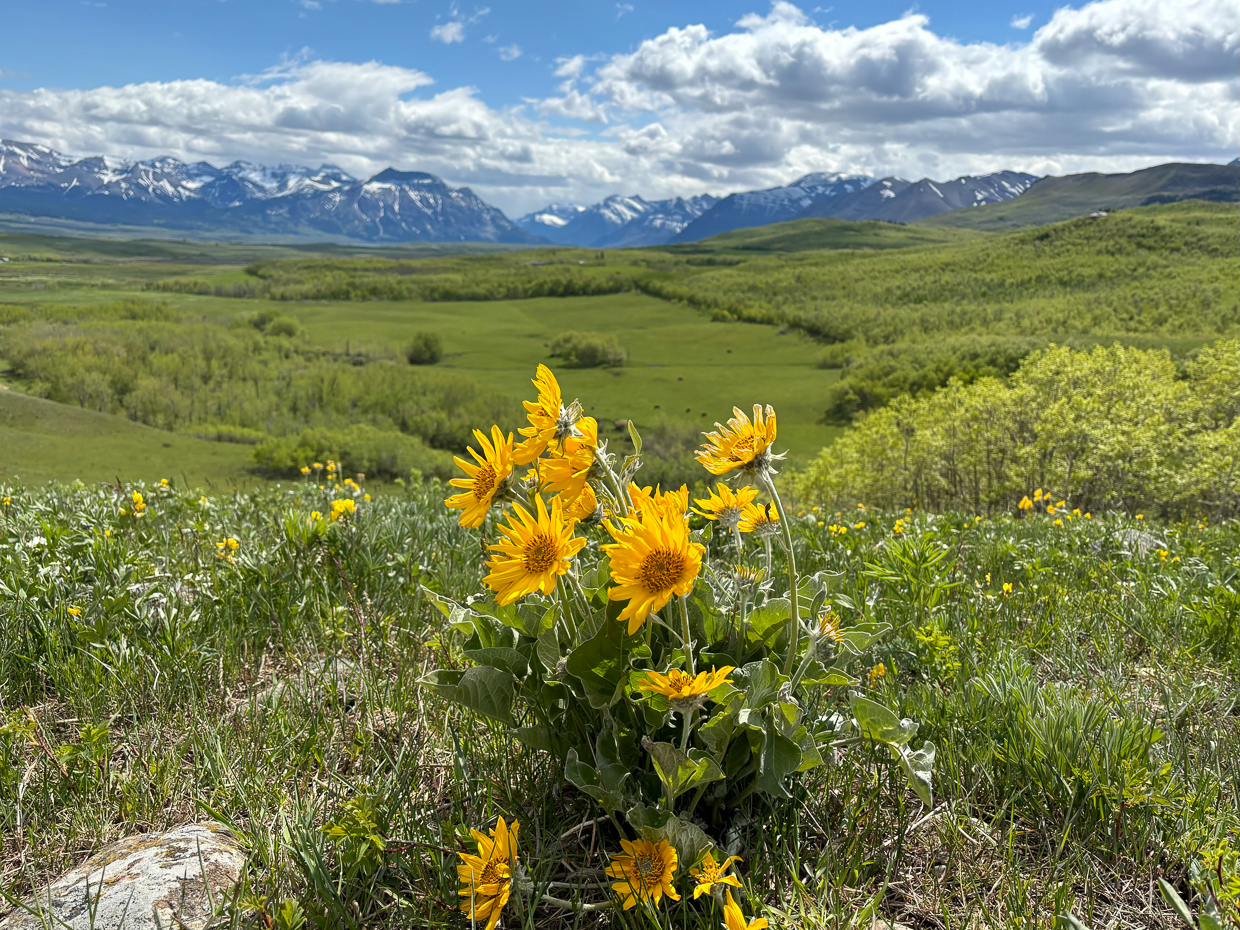 Waterton Lakes National Park