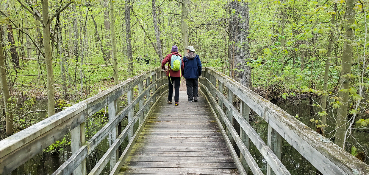 Birding in Rondeau Provincial Park
