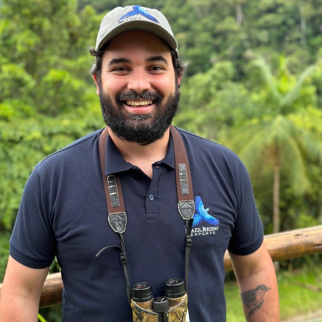 Felipe Arantes - Ornithologist & Guide