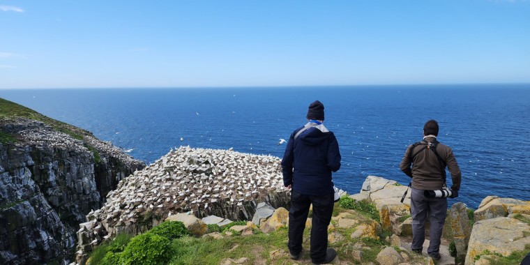 Grand Newfoundland Trip Report ( Jun 13 - 24, 2024)