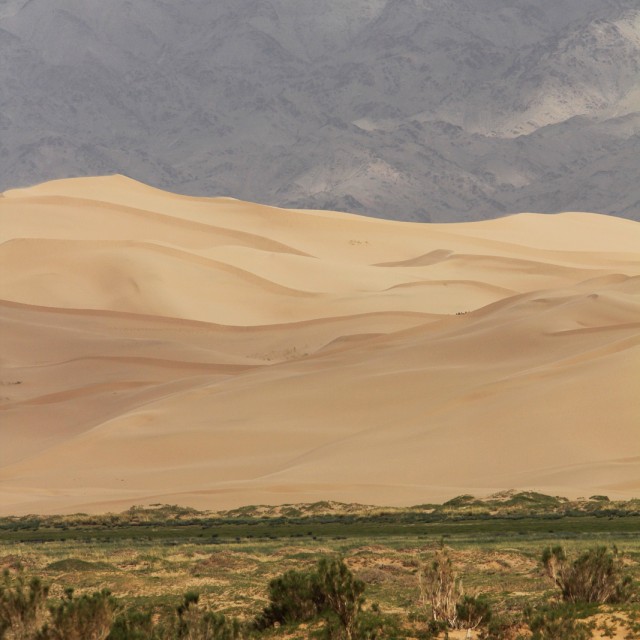 Mongolia landscape