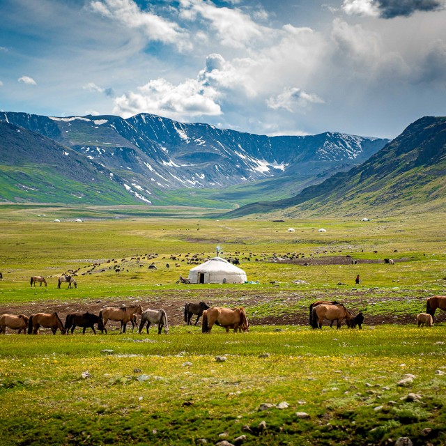 Mongolia landscape