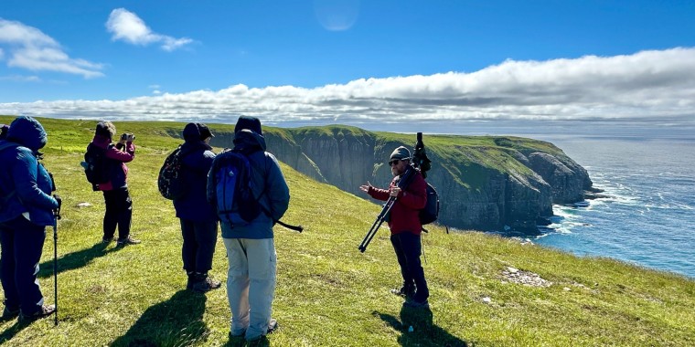 Grand Newfoundland Trip Report (June 24 – July 5, 2024)