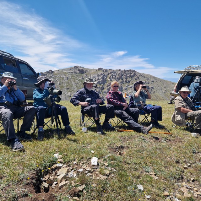 Scanning for Snow Leopards