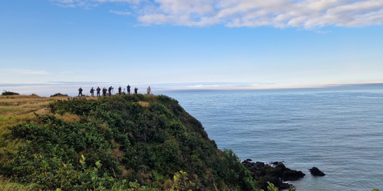 New Brunswick & Grand Manan Trip Report 2024