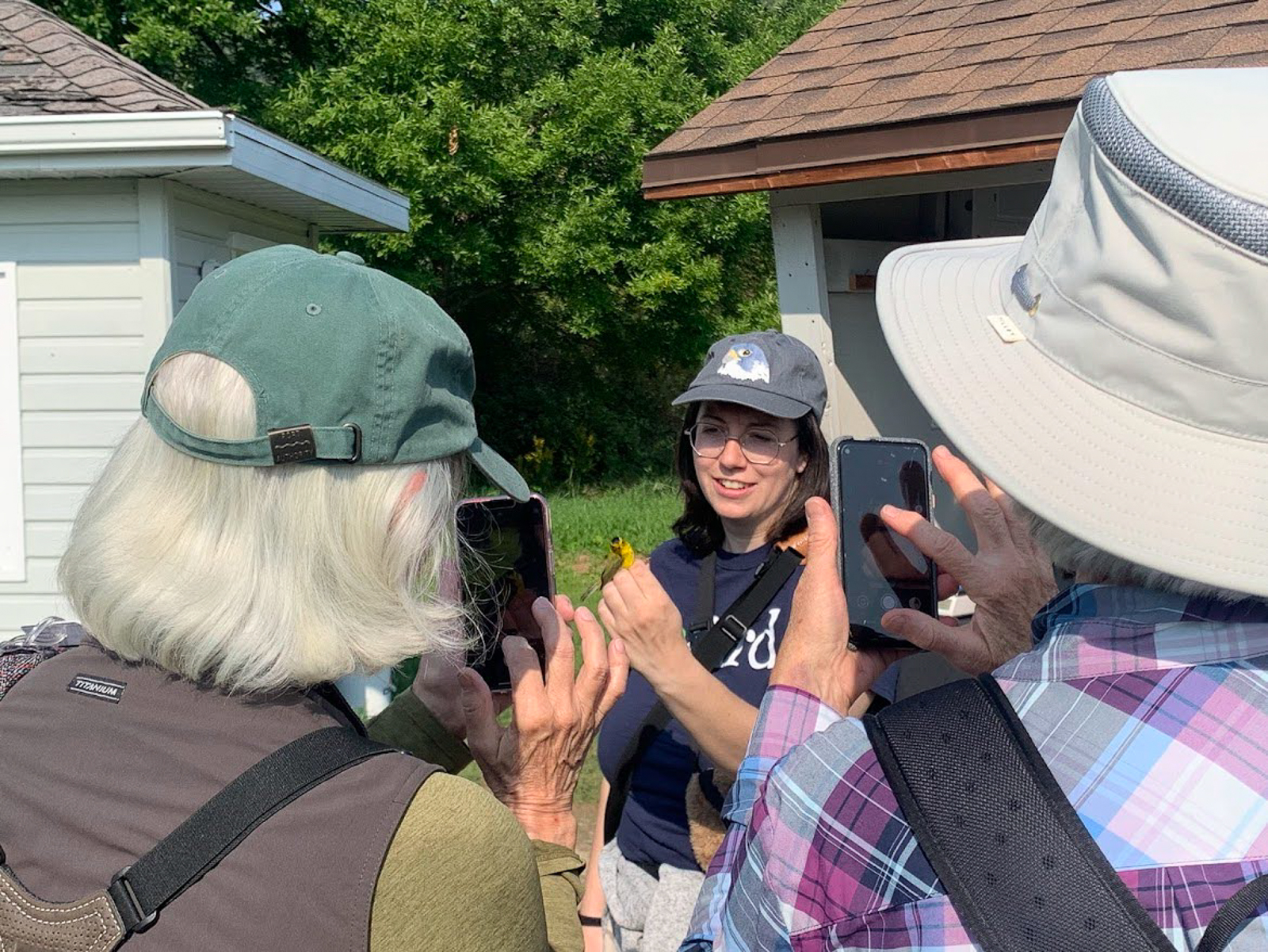 Holding a Wilson's Warbler