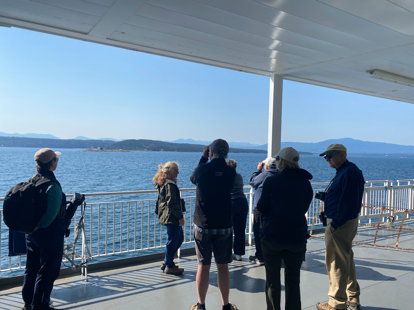 Birding from the ferry