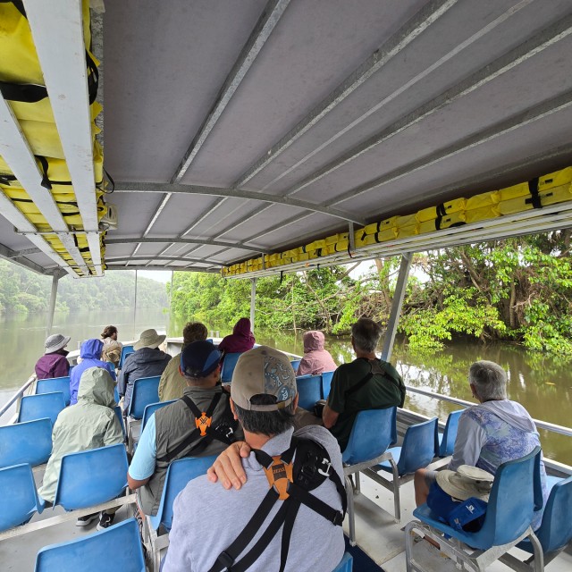 Daintree River cruise