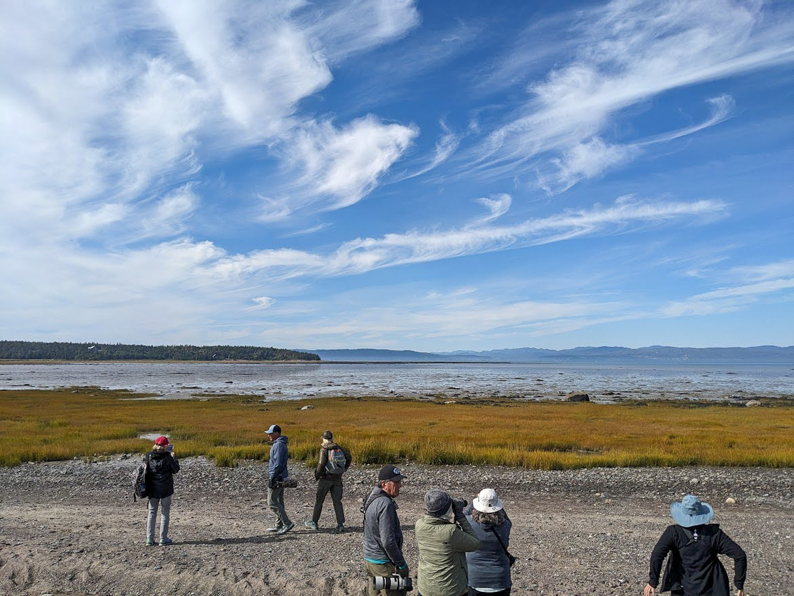Exploring the shores in St Denis de la Bouteillerie