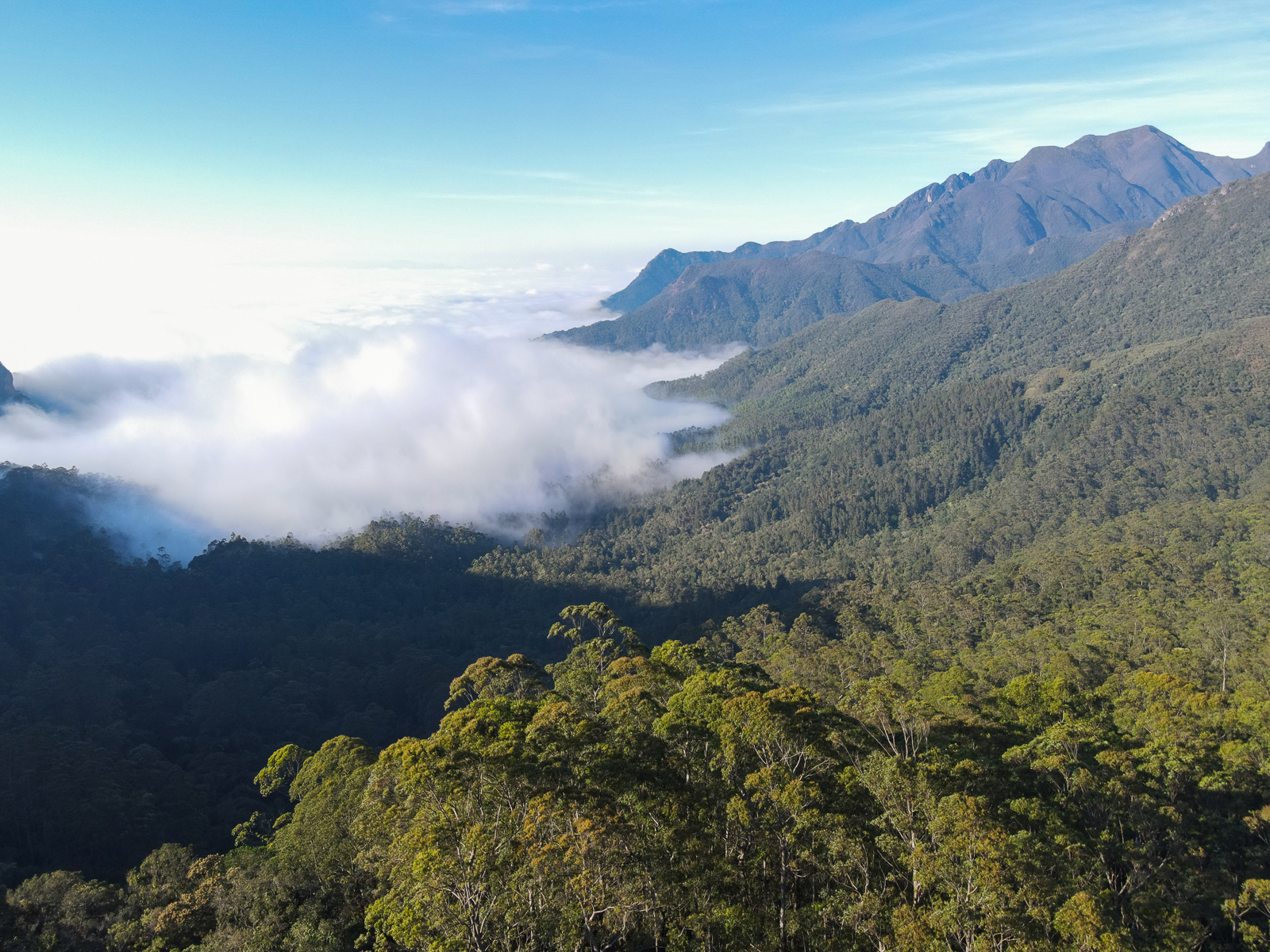 Itatiaia National Park