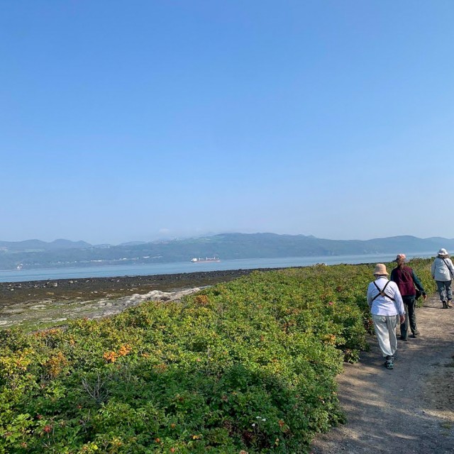 Exploring L’Isle-aux-Coudres