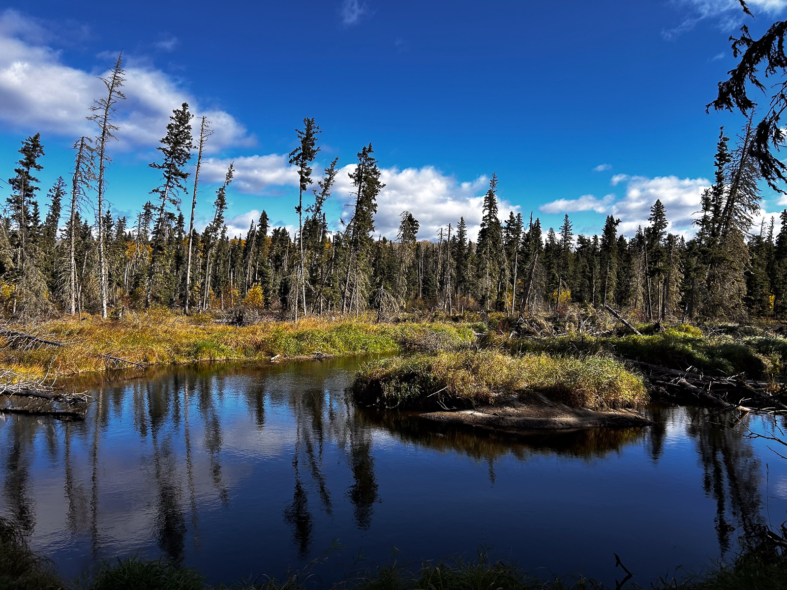 Prince Albert National Park
