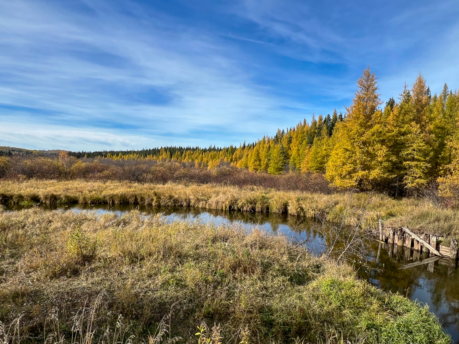 Saskatchewan landscape