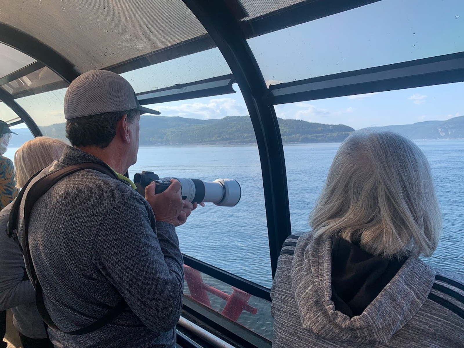 Whale watching tour