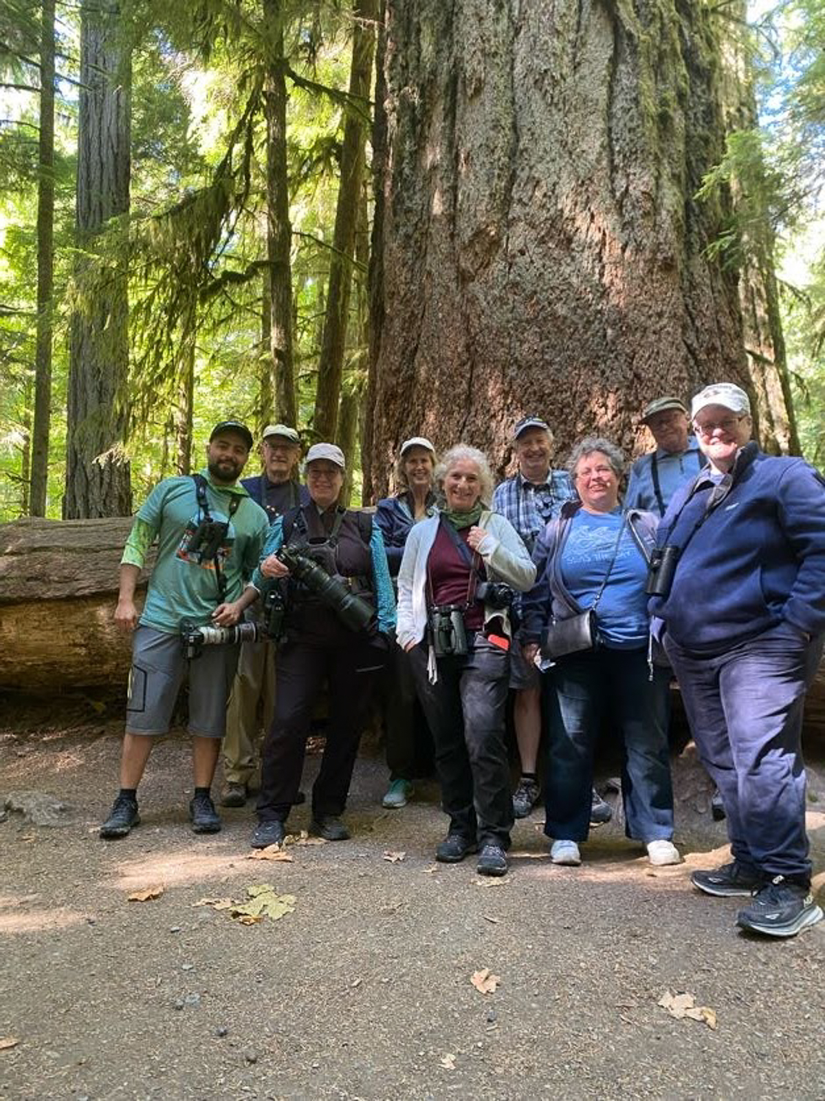 Birding Group at Cathedral Grove