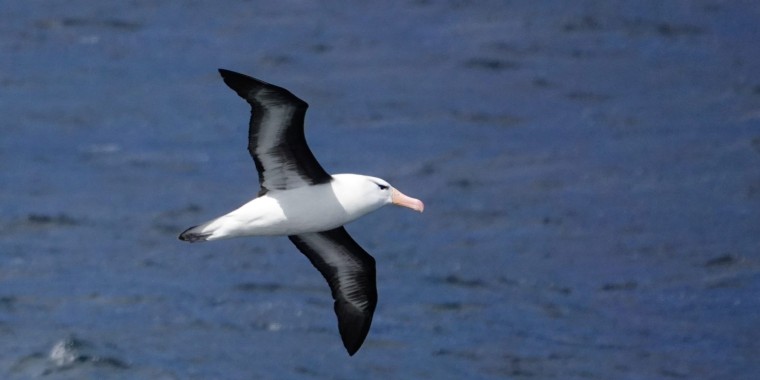 Patagonia Wildlife Safari 2024 Trip Report