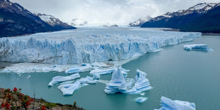 Patagonia Birds and Wildlife with Canadian Geographic Trip Report (2024)