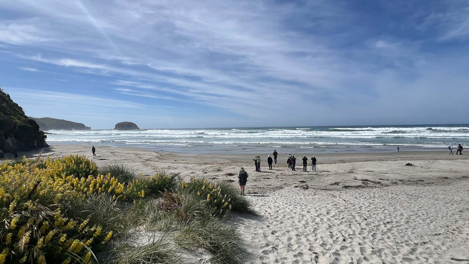 Allen's Beach, Otago Peninsula