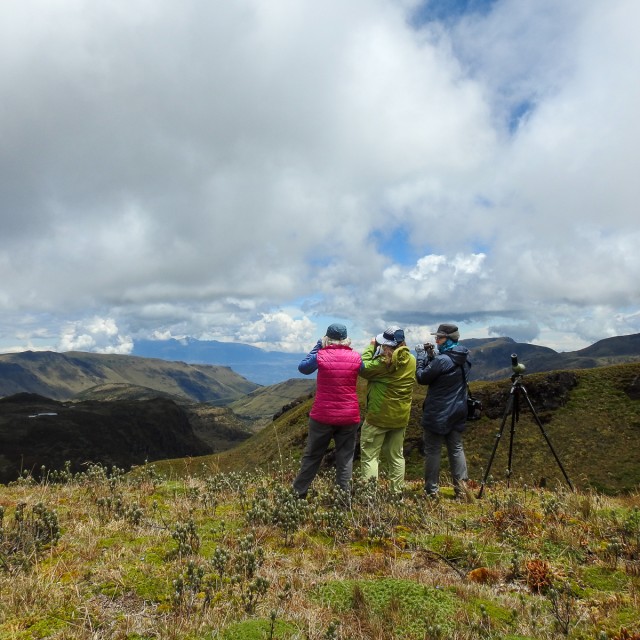 Birding in Papallacata