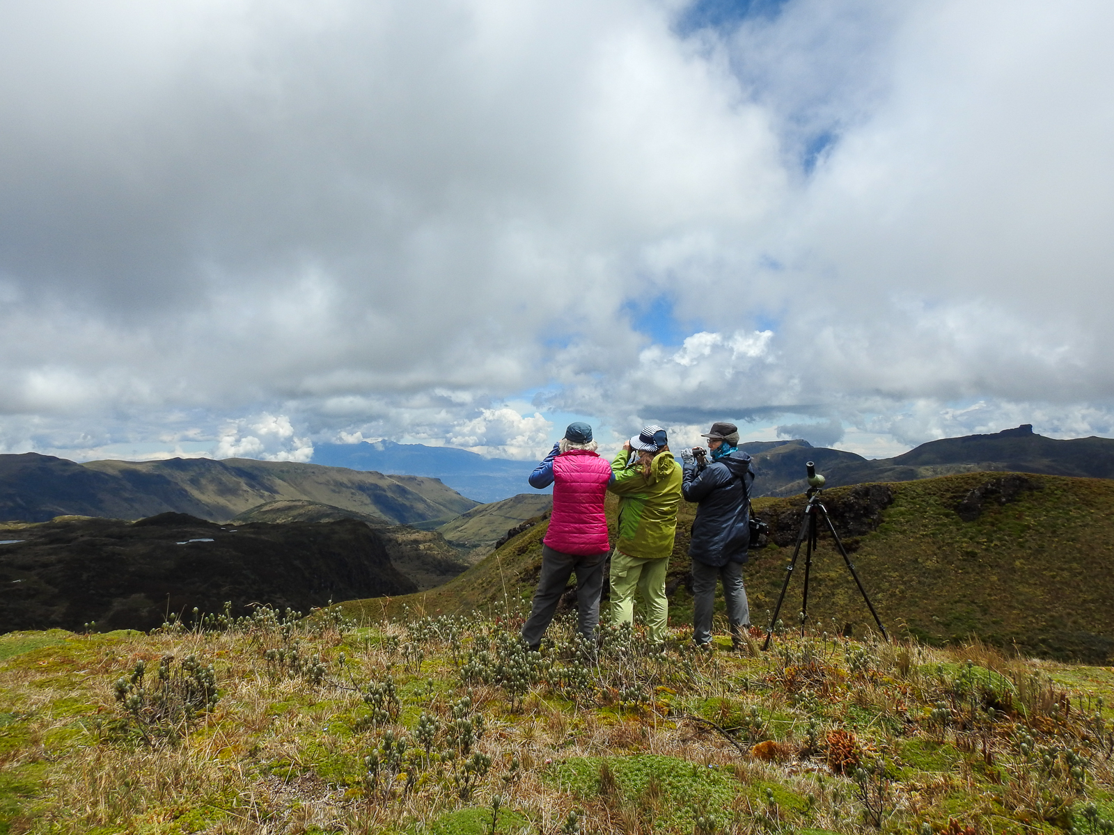 Birding in Papallacata
