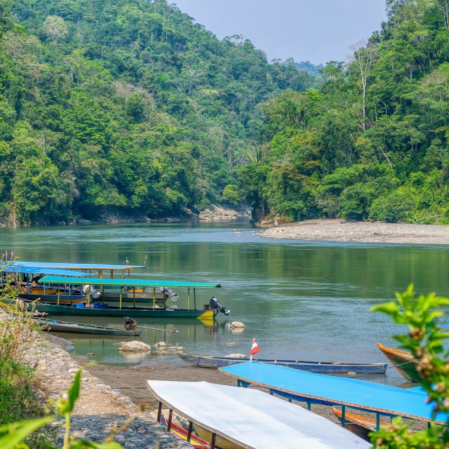 Typical boats used on the river in Amazon.