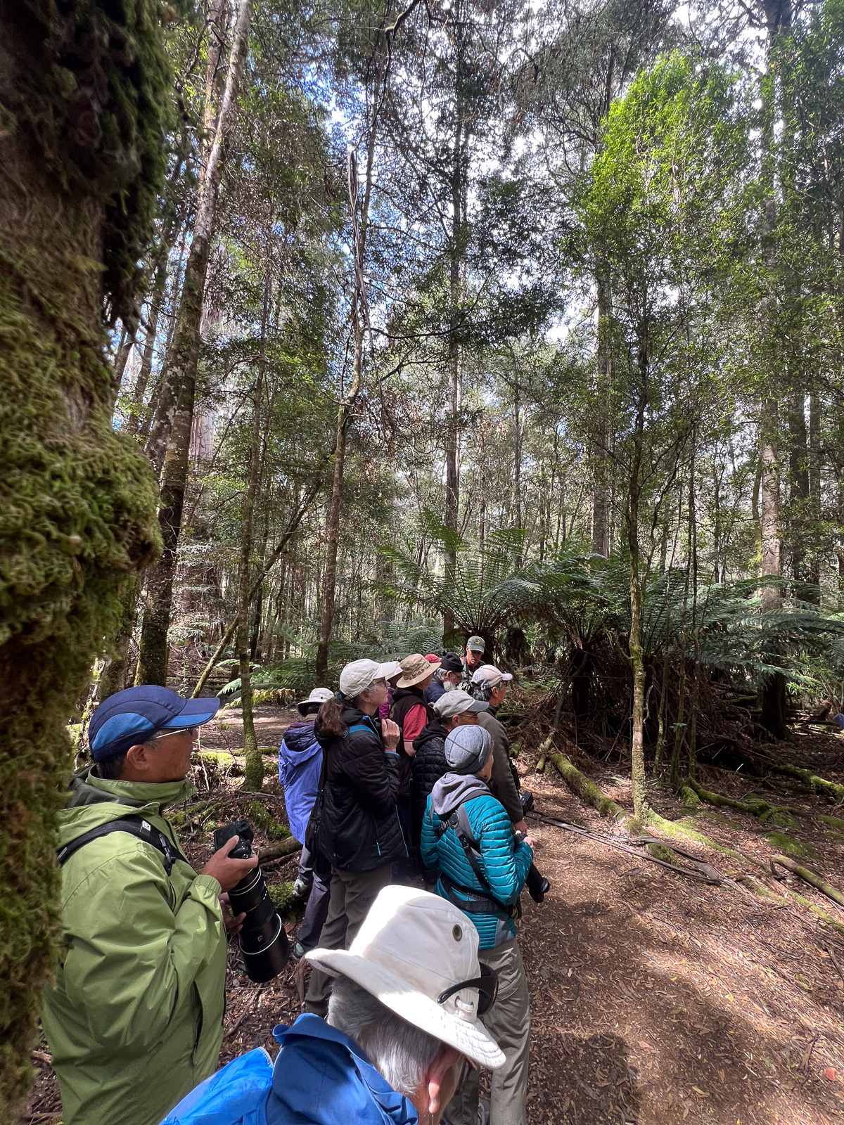 Birdwatching group in Tasmania