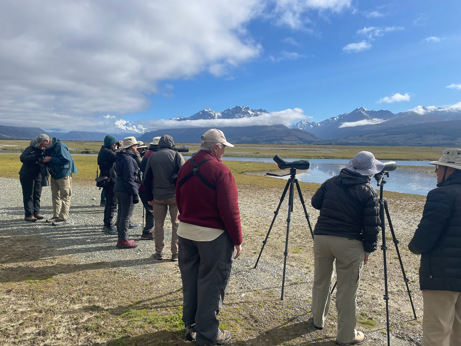 Tasman delta, Black Stilt viewing