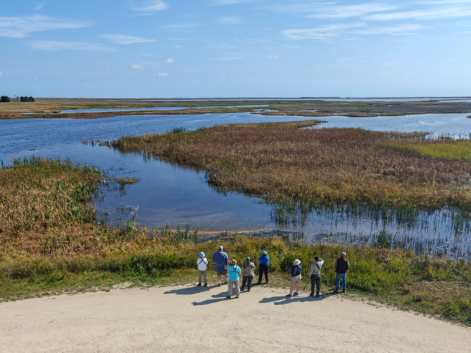 Birding at Cape May