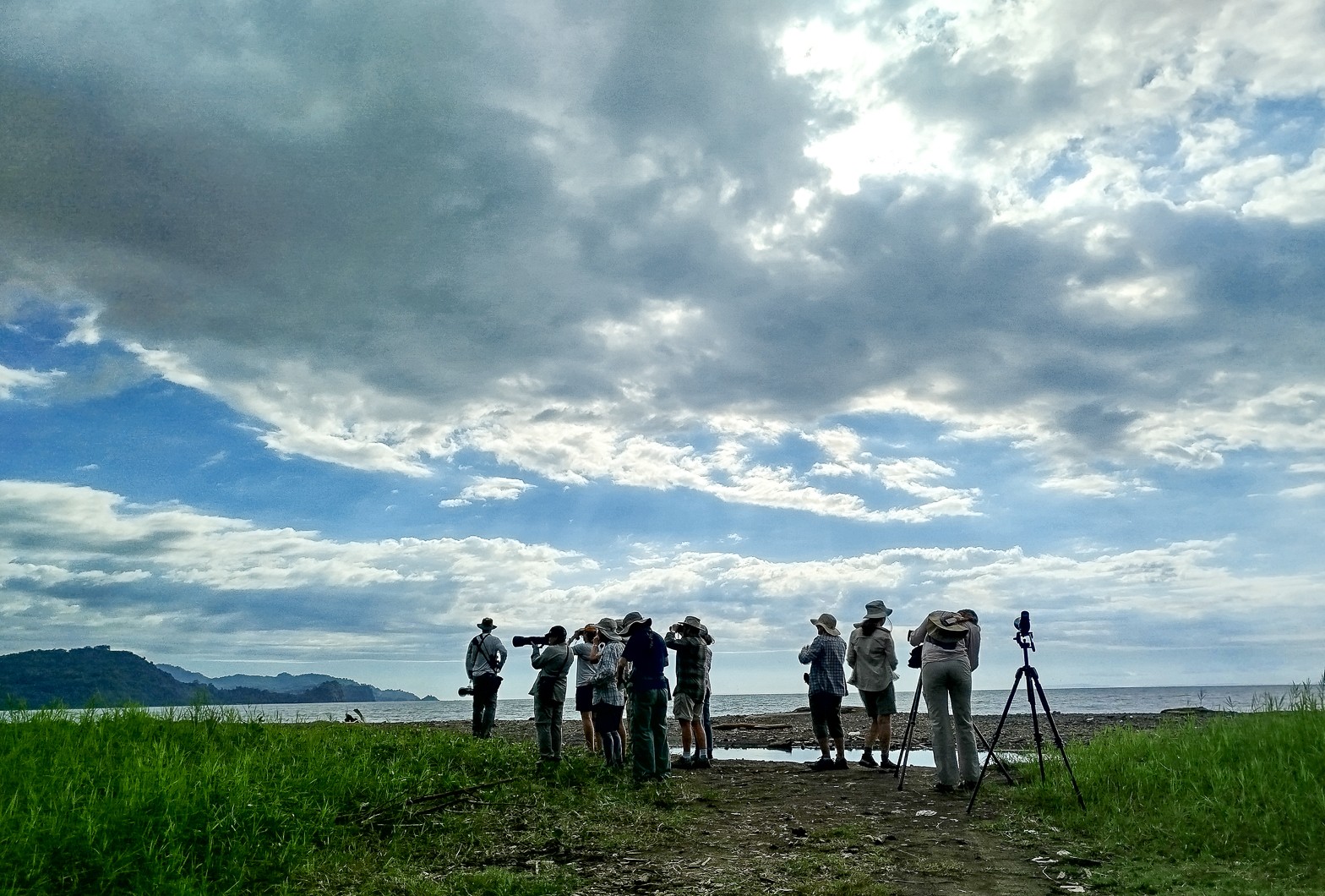 Birding Tárcoles