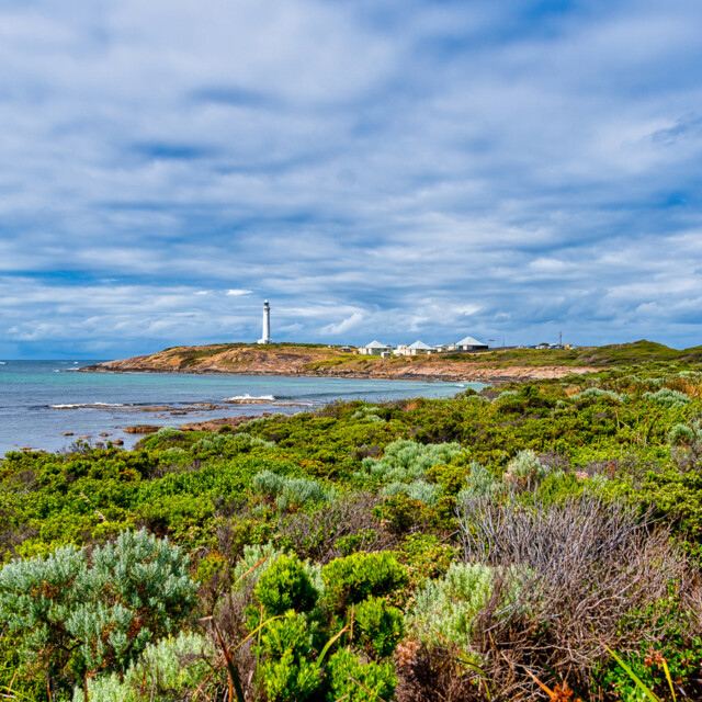 Cape Leeuwin Lighthouse and coastal heath