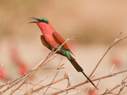 Namibia, Botswana & Victoria Falls