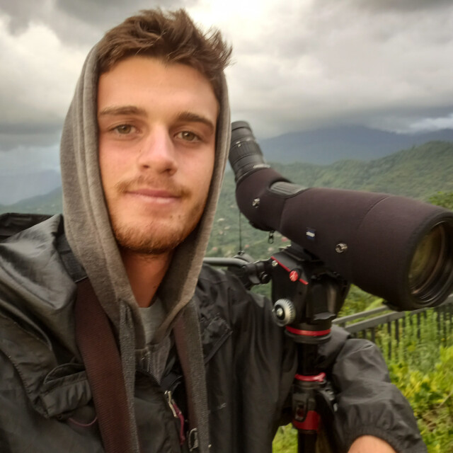 Fernando Gross - Birder