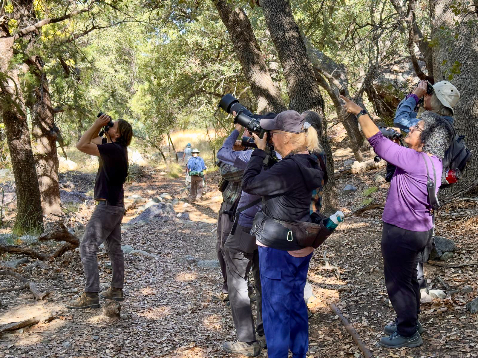 Birding group in Arizona