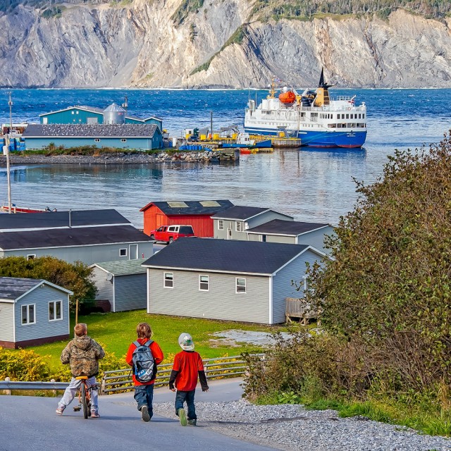 Ocean Nova Cox's Cove, Bay of Islands © Dennis Minty - Ocean Nova